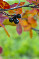 Similar image 21045673