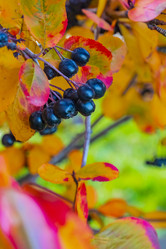 Similar image 21045674