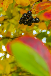 Similar image 21045677