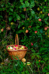 Similar image 21045683