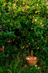 Similar image 21045685