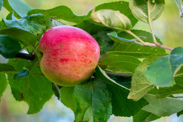 Similar image 21045686