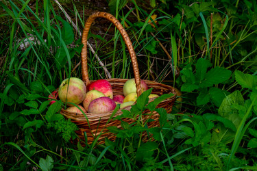 Similar image 21045687