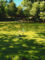 Similar image 21056718