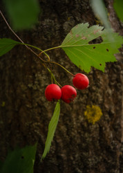 Similar image 21050451