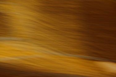 Similar image 21043984