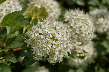 Similar image 21044666