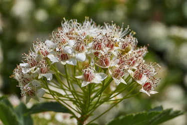 Similar image 21043942