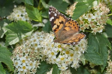 Similar image 21062544