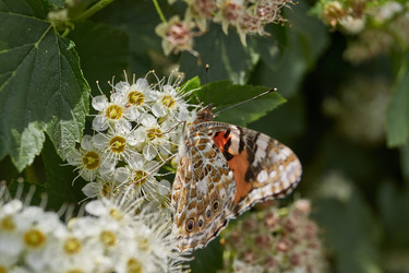 Similar image 21045237