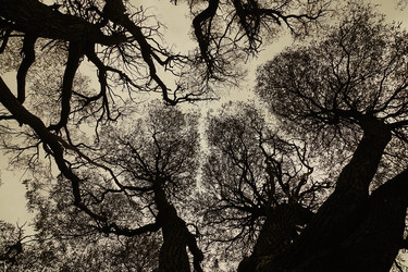 Similar image 21043999