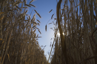 Similar image 21044001