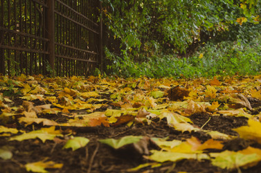 Similar image 21050452