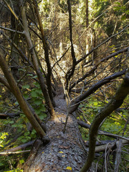 Similar image 21059192