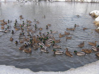 Similar image 21056722