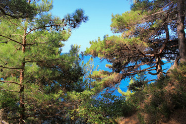 Similar image 21053617