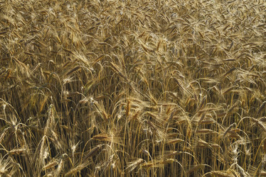 Similar image 21044004