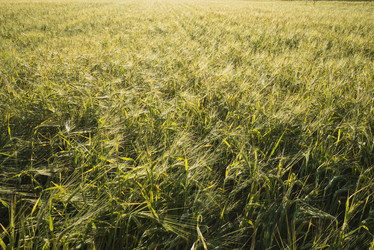 Similar image 21044005