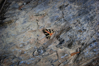 Similar image 21053620