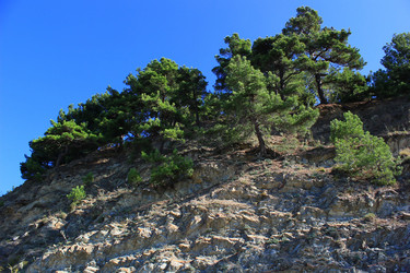 Similar image 21059195