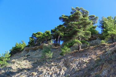 Similar image 21053624