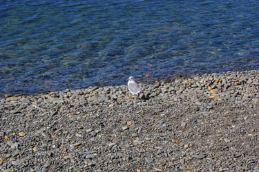 Similar image 21049497