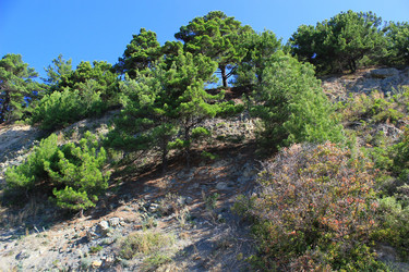 Similar image 21059196