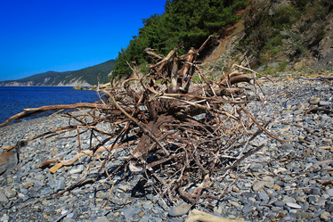 Similar image 21050458