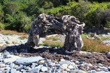 Similar image 21050460