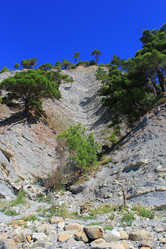 Similar image 21053628