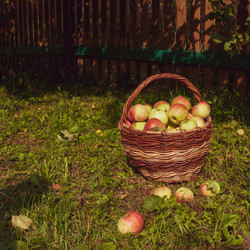 Similar image 21045483