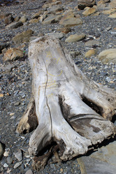 Similar image 21045484