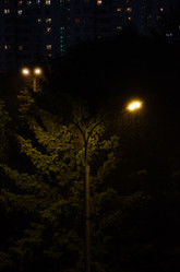 Similar image 21057749