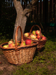 Similar image 21045485