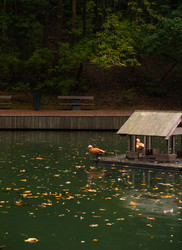 Similar image 21045930