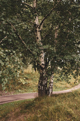 Similar image 21053629