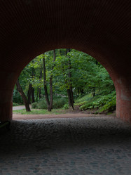 Similar image 21045489