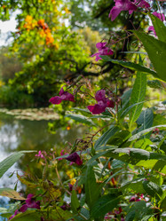 Similar image 21045494