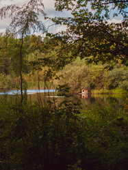 Similar image 21045499