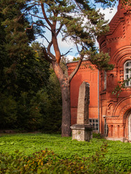 Similar image 21045500