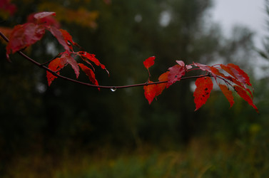 Similar image 21045501