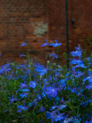 Similar image 21045503