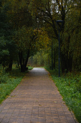 Similar image 21045505