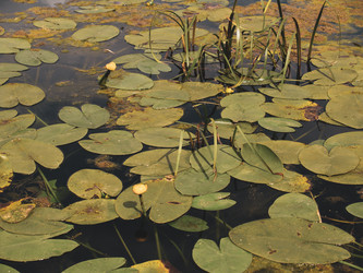 Similar image 21045506