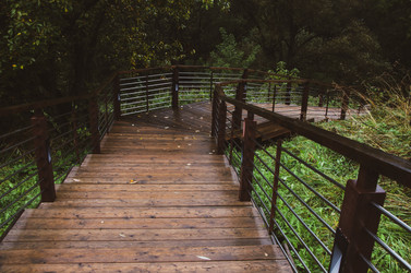 Similar image 21045507