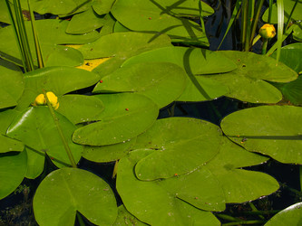 Similar image 21044667