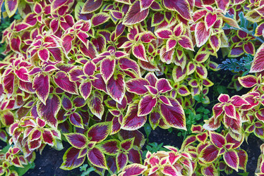 Similar image 21048027