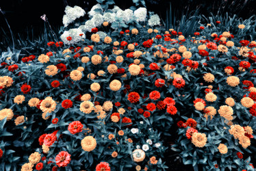 Similar image 21048028