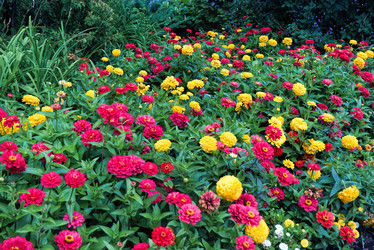 Similar image 21048029