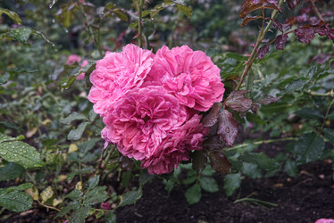 Similar image 21048030